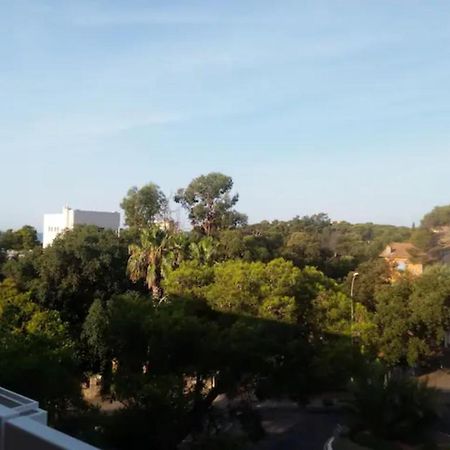 Mer Et Soleil Saint-Raphaël Esterno foto